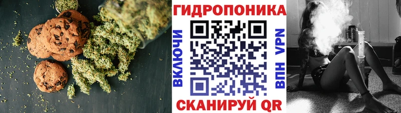 где продают   мориарти клад  Cannafood конопля  Гудермес 