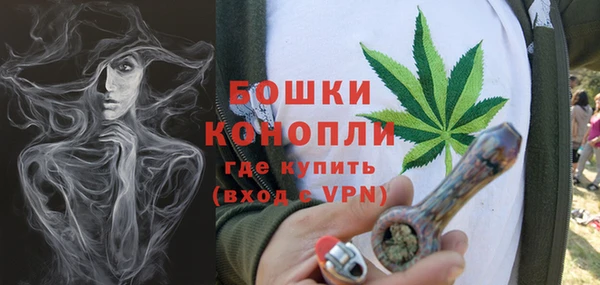 ПСИЛОЦИБИНОВЫЕ ГРИБЫ Балахна
