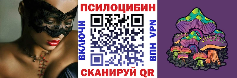 наркошоп  Гудермес  Галлюциногенные грибы Magic Shrooms 